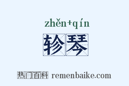 轸琴是什么意思的图片